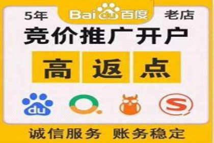 成功案例：sem竞价托管的智慧与策略